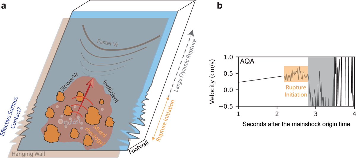 Piero Poli tweet media