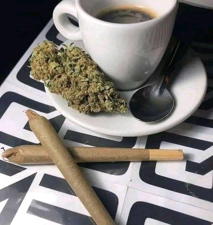 A good way to start your day.

#420community #420lover #mmemberville #StonerFam #420day #growing #code420 #USA #grants #cannabisindustry #cannabislife