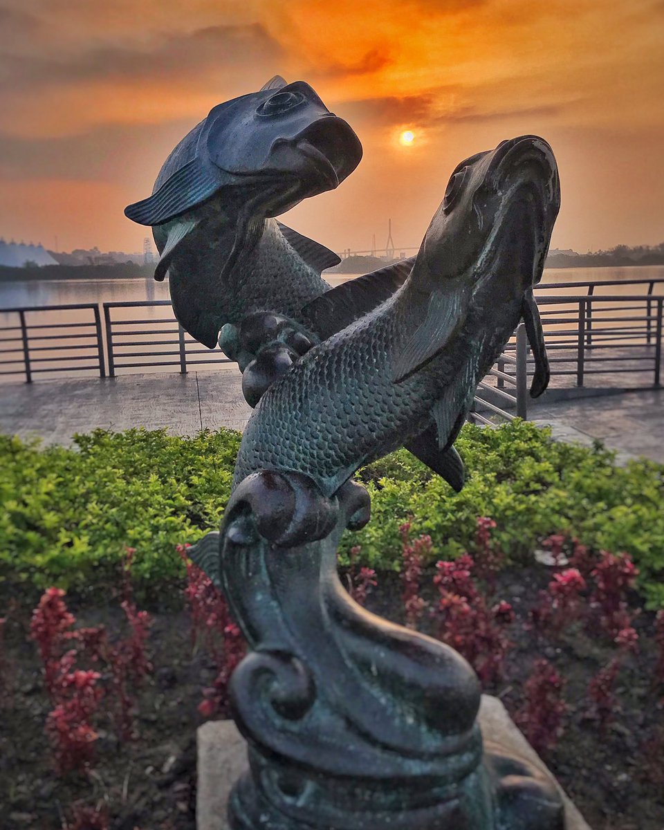 Turismo_Tampico's tweet photo. Amanecer sobre el Parque Laguna del Carpintero.

¡Excelente martes para todos!

#tampico #turismotampico #tampicoinspira #tampicobicentenario #tampicohermoso #descubretampico #tampicocultural #tampicolotienetodo https://t.co/NR2F9ngx7a