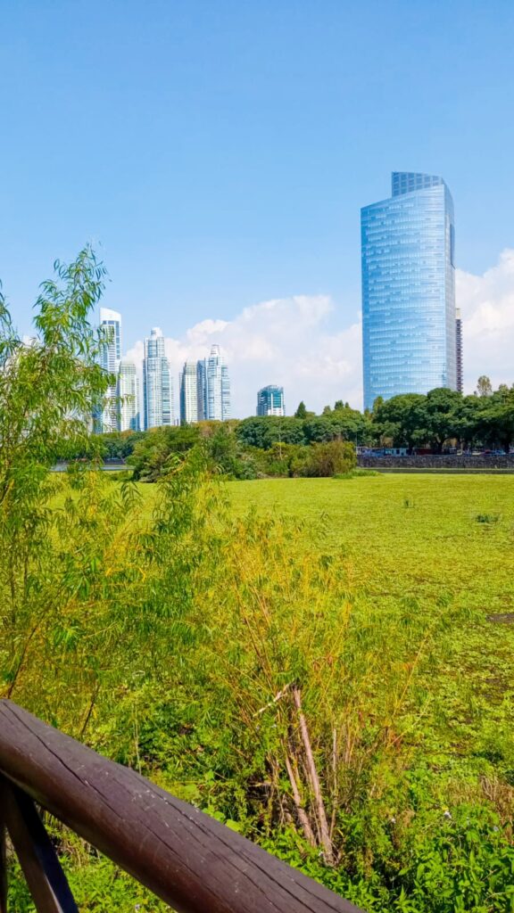 Reserva Ecológica Costanera Sur, Buenos Aires. la.network/reserva-ecolog…

Por <a href="/Lalo_torres/">Eduardo Torres</a>