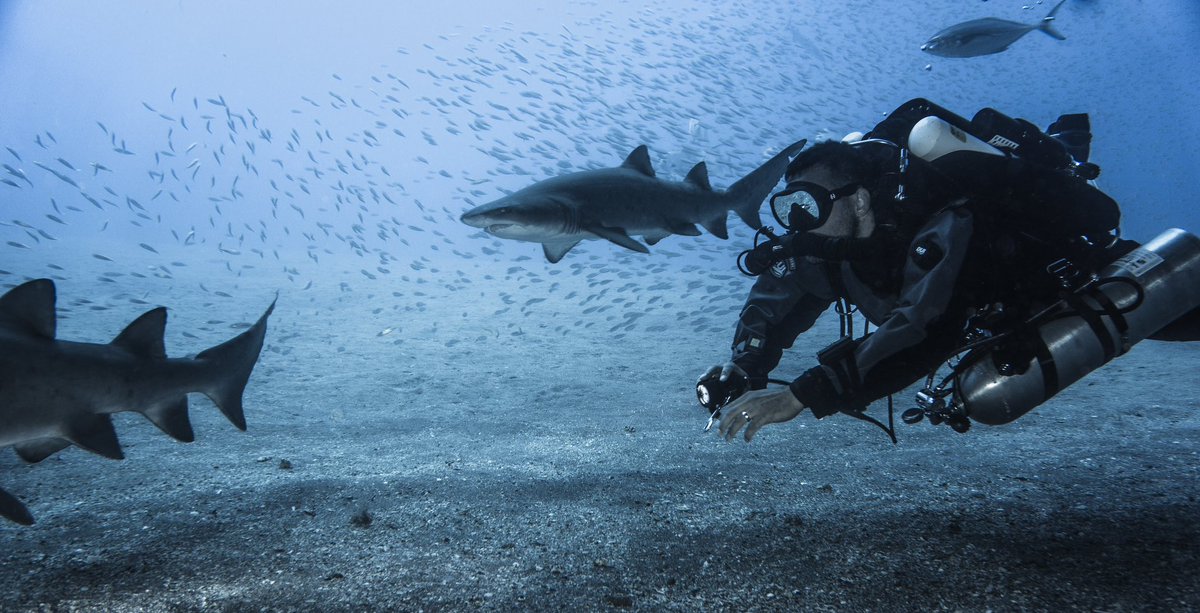 Not always you get private wreck tour from the locals. #scuba #scubadiving #underwaterworld #shark #sharkdiving #techdiving #wreckdiving #rebreather #rebreatherdiving #jjccr #xdeep #tecdivegear_usa Photo credit M.Bieganowski