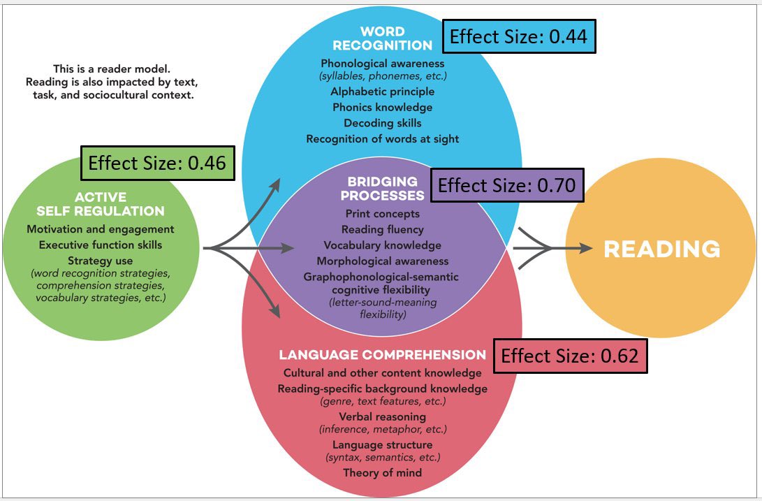 LeadersLiteracy's tweet photo. This morning we are debating the Active View of Reading and how this model supports and/or neglects the individual pathways to reading/writing. https://t.co/cor9Fe0YUq