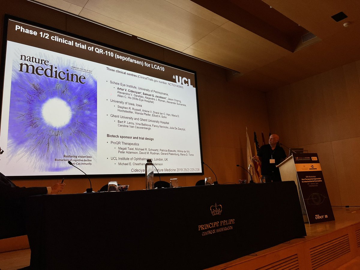 AnaPilarGomez's tweet photo. Talk 13 #ERNworkshop #retinaldystrophies 
Dr. Mike Cheetham from @ucl uses retinal organoids as a model to validate gene therapies and study disease mechanism to increase the knowledge in IRD
@CIPFciencia @CIBERER @ReginaRodrigo_ https://t.co/Z2fIrxO4uY