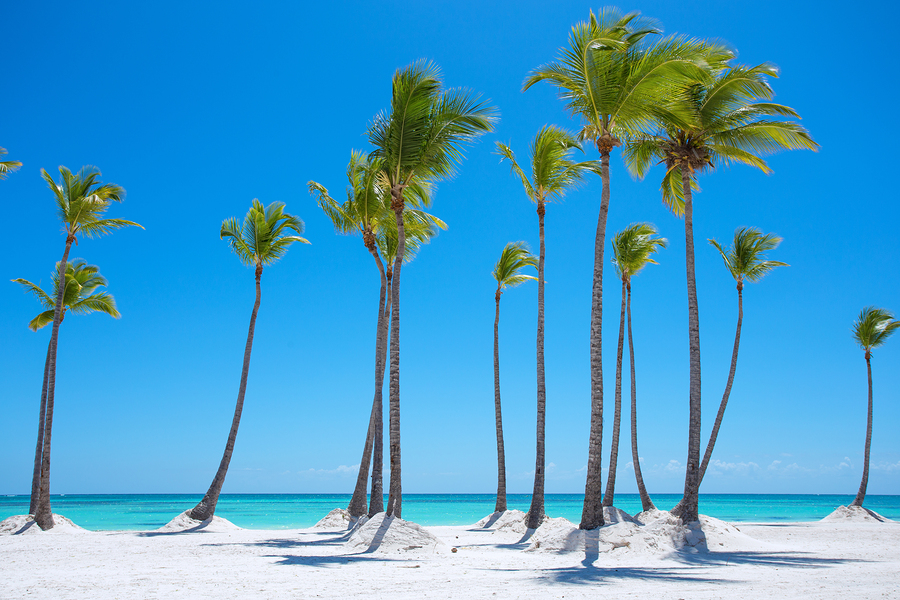 MemoryMakerTra1's tweet photo. Let’s pick a beach… any beach… and plan your sanity check to... Punta Cana in the DR?

https://t.co/DZzQ5pwmPh

#MemoryMakerTravel #beach #vacation #DR https://t.co/IKFKQKY4sy