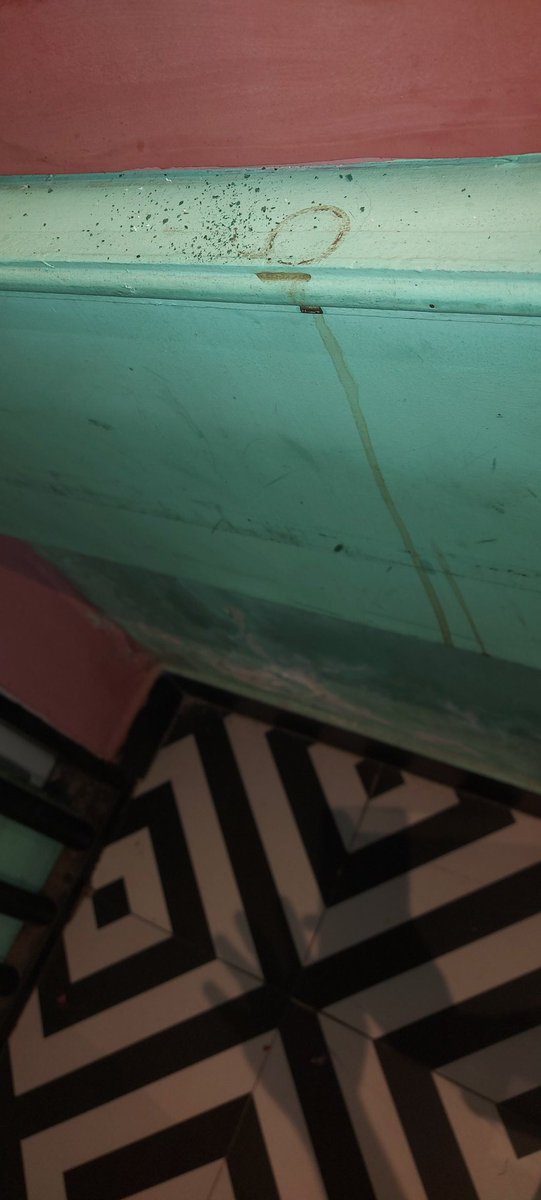 Bhumikar's tweet photo. @ChaiSuttaBarIN so called hygienic atmosphere of your outlet located at Vidyadhar Nagar Jaipur. 
Tea spilled on floor and walls PROPOSED TO BE IN KULHAD.
Fly on serving table and dust on the interior as it never been cleaned since inauguration.. https://t.co/Vp6gfQAAW4