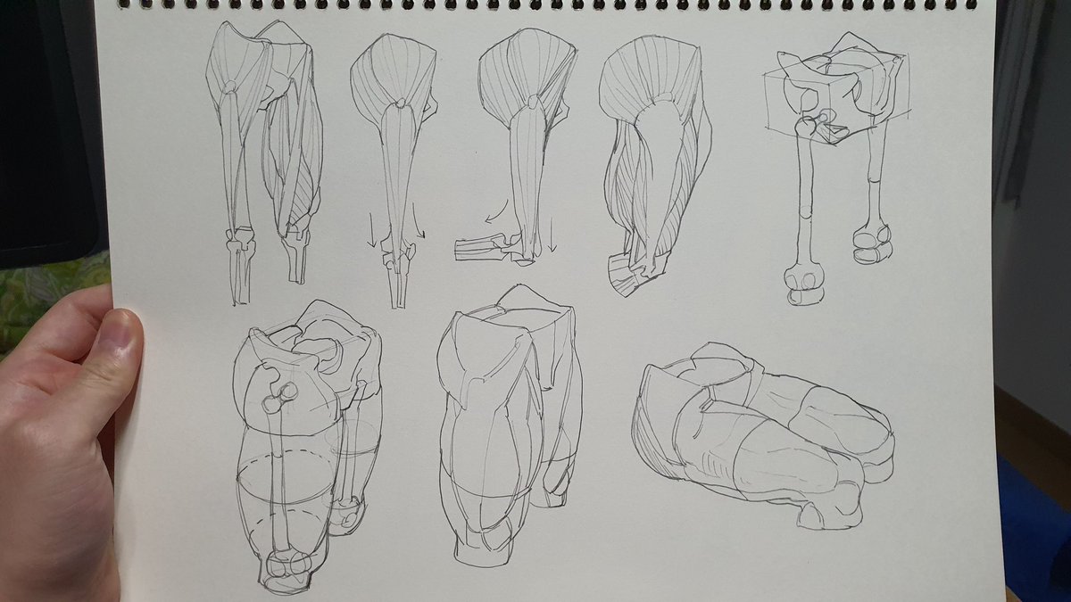 ✏️✏️✏️✏️~ 