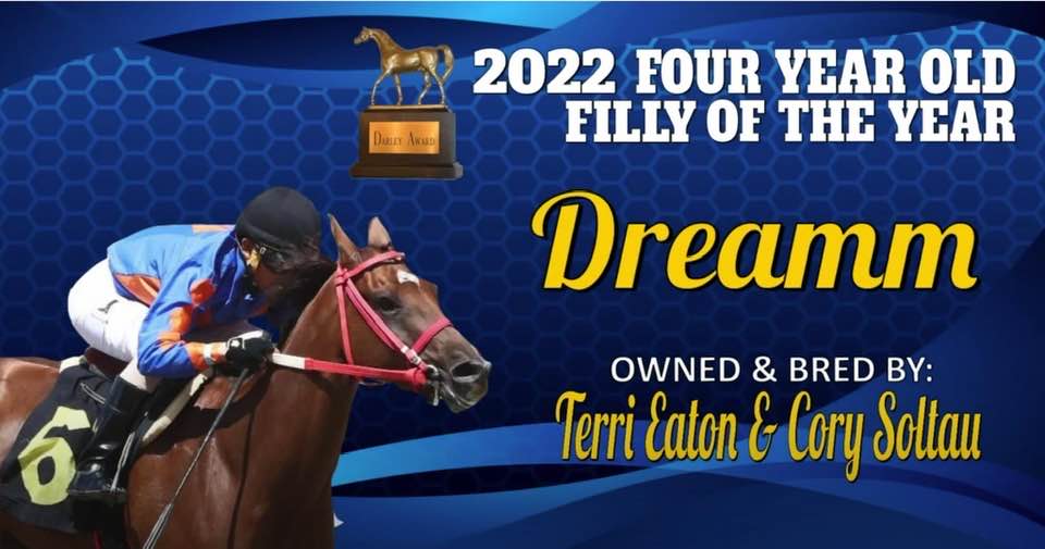 Congratulations Dreamm, Darley Award 4 yr old Filly: conta.cc/3TNUT6t conta.cc/3JOU09e