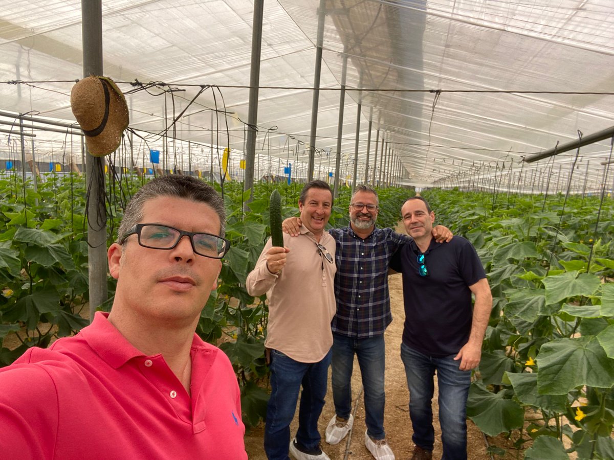 luistrillomata's tweet image. Visitando #Estelar de @SeminisIberia. Excelente rendimiento en ciclos de primavera temprana.