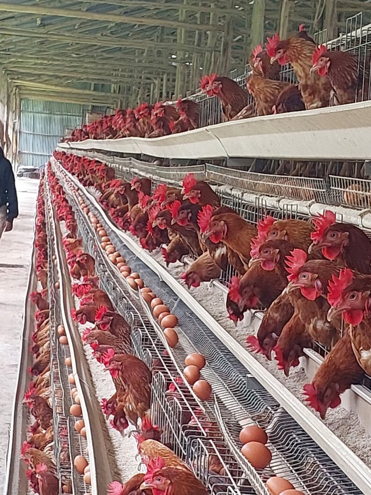 Modern Agriculture Updates tweet media