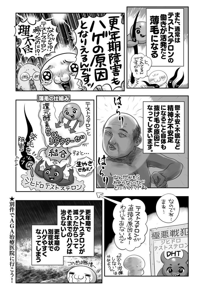 続🌟男性にも更年期障害ありまーす‼️の話🍌
どうしてハゲるの❓関係あるの❓🧑‍🦲
治療法あります😊でも、心はどうしたら❓🥺 