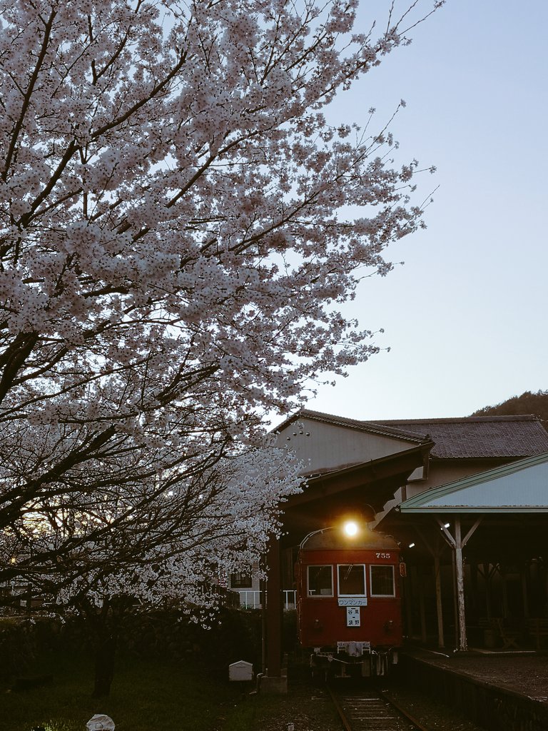 makoto_k_0621's tweet photo. 谷汲駅のモ755とモ514に会ってきた
#名鉄 #谷汲線
#600V #谷汲駅
#モ750 #モ750 https://t.co/AyNC0T6LBQ