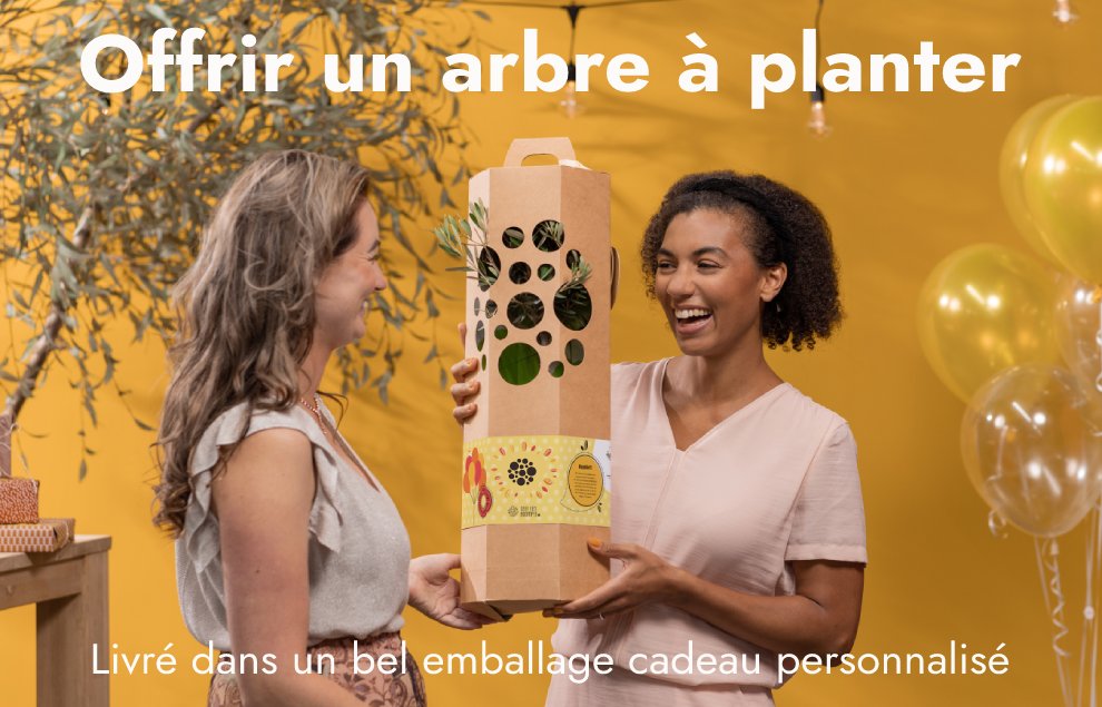 Idée cadeau naissance  Offrez un arbre à planter