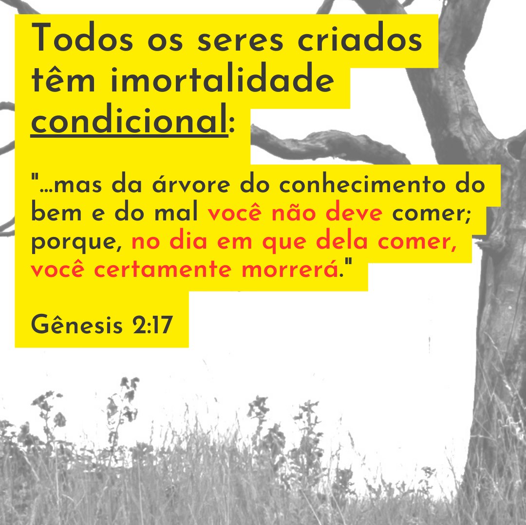 _leandroquadros's tweet photo. Breve estudo sobre a imortalidade na Bíblia. Os anjos são imortais? Nossa alma é imortal? Confira nesta sequência de imagens! #imortalidade #Bíblia #EstudodaBíblia #anjos #alma #almaimortal
https://t.co/cwjy0Kn4SC https://t.co/jl0Y8P45WO