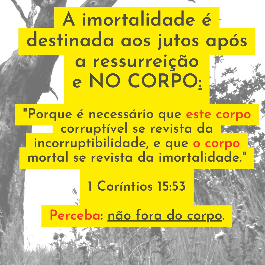 _leandroquadros's tweet photo. Breve estudo sobre a imortalidade na Bíblia. Os anjos são imortais? Nossa alma é imortal? Confira nesta sequência de imagens! #imortalidade #Bíblia #EstudodaBíblia #anjos #alma #almaimortal
https://t.co/cwjy0Kn4SC https://t.co/jl0Y8P45WO