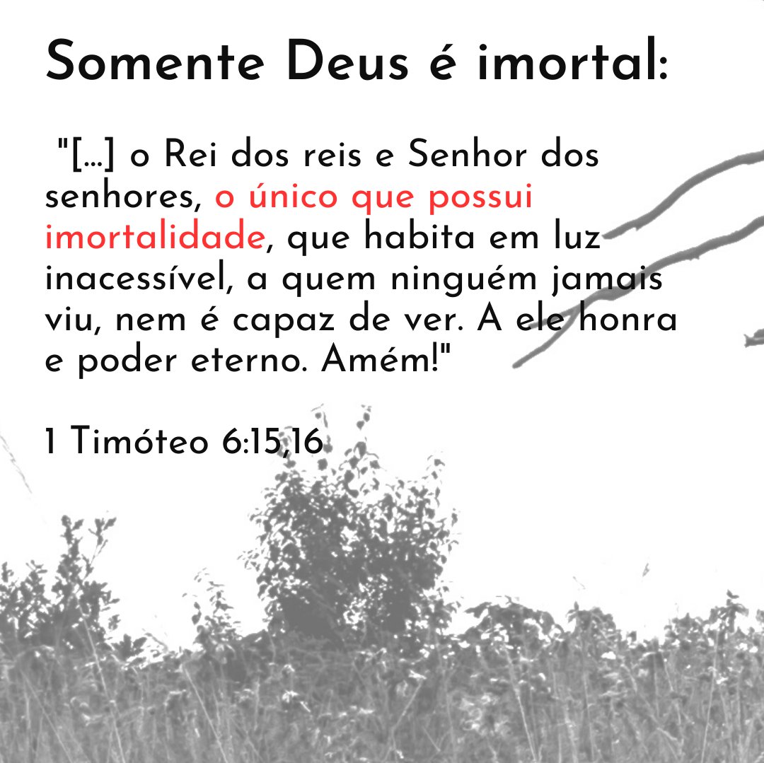 _leandroquadros's tweet photo. Breve estudo sobre a imortalidade na Bíblia. Os anjos são imortais? Nossa alma é imortal? Confira nesta sequência de imagens! #imortalidade #Bíblia #EstudodaBíblia #anjos #alma #almaimortal
https://t.co/cwjy0Kn4SC https://t.co/jl0Y8P45WO