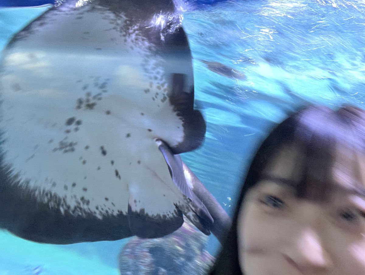 우당탕탕 가오리