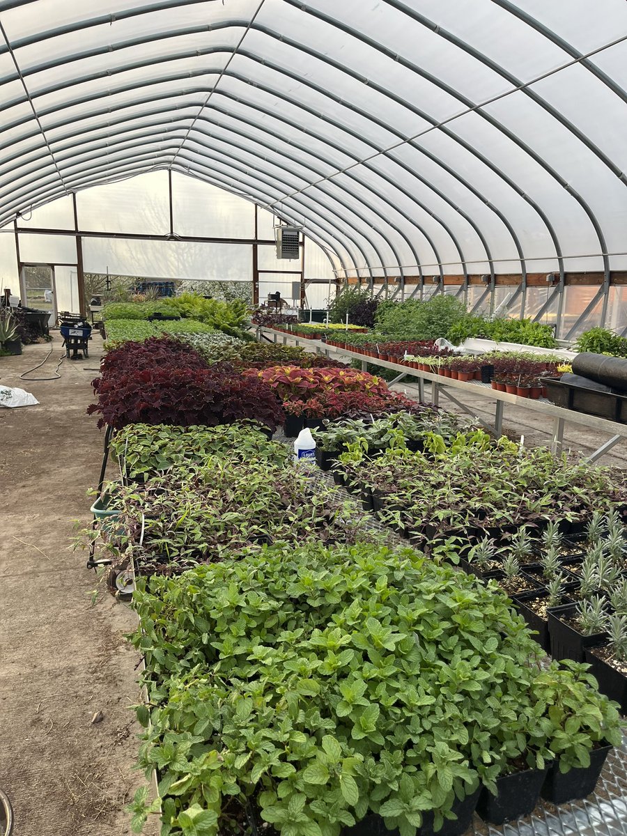 CuCPS's tweet photo. “Lettuce”keep growing! Our @HighCumberland Agriculture students definitely have a green thumb… @FleenorJoshua #WeAreCuCPS https://t.co/DTgHZS2pMF