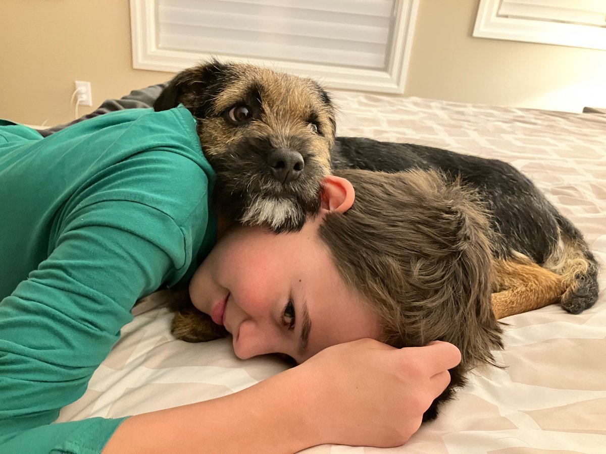 Photo(s) of the month!                  #BTPosse #DogsOfTwittter #PhotoOfTheMonth #PhotoAlbum