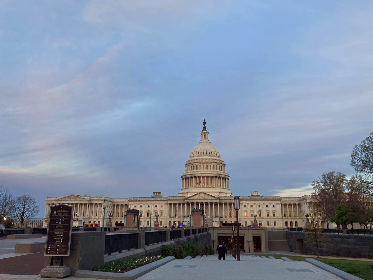 Noam Stern tweet media