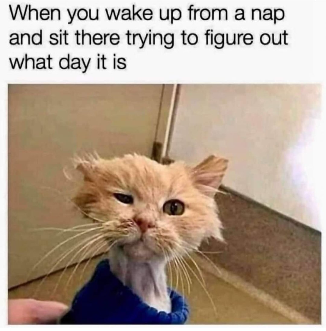 Crackingcomms's tweet image. 