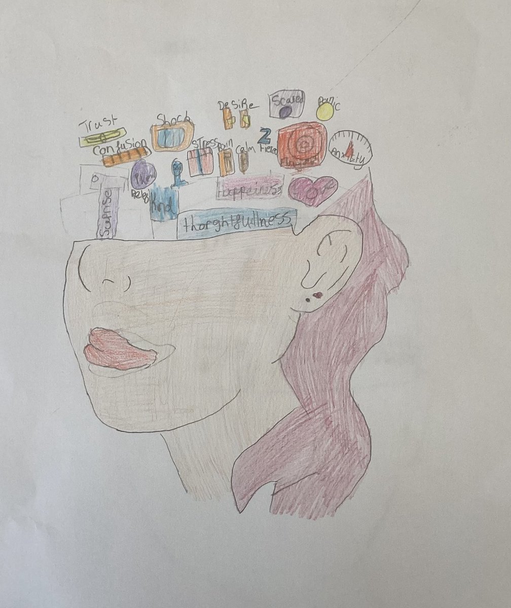 Mrs Cain DSM tweet media