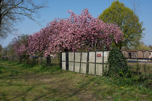 Waar zijn de mooiste groene plekken in Harderwijk en Hierden?: Harderwijk vraagt inwoners naar mening over natuurlijk groen in gemeente . En welke plek kan wel wat groen en natuur gebruiken? De gemeente roept inwoners op om deze locaties delen. Met die… dlvr.it/Slc05S