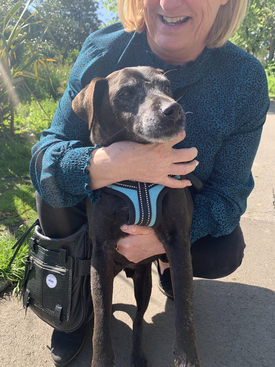 Our Charlie was 17 years old when he went to doggy heaven last year. I was only 12 when we got him as a pup. We were there till the very end with him 😢 <a href="/loosewomen/">Loose Women</a> #LooseWomen