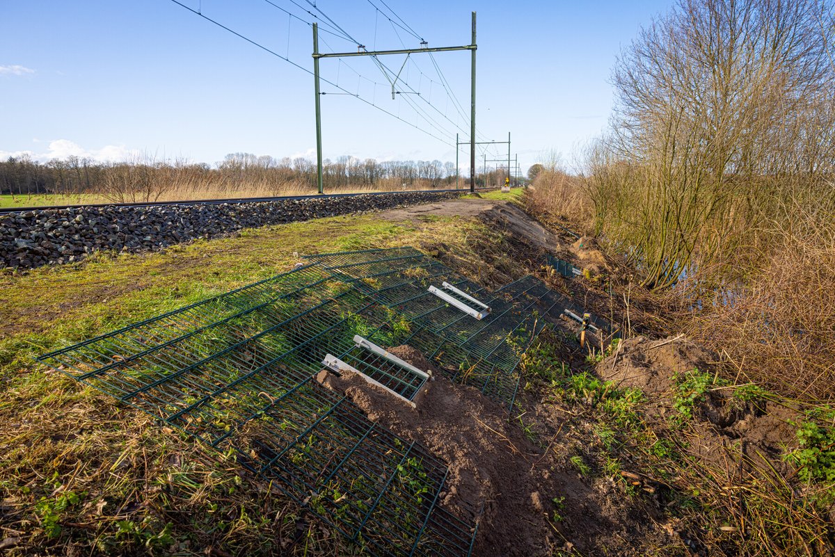 🦡Het spoor bij Esch en Vught is hersteld. Het treinverkeer kan morgen worden opgestart. We zijn alle partijen die hebben geholpen bij het verhuizen van de #dassen en bij het weer veilig maken van het spoor erg dankbaar!

prorail.nl/nieuws/treinve…
