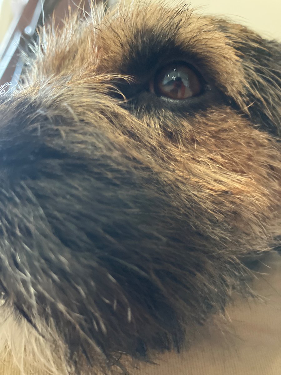 Wook into mys eyes wook deep into my eyes #BTPosse