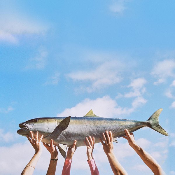 DiscographyFM's tweet image. “Watching the Credits” a surprise new single by #TheBeths album.link/us/i/1676344883