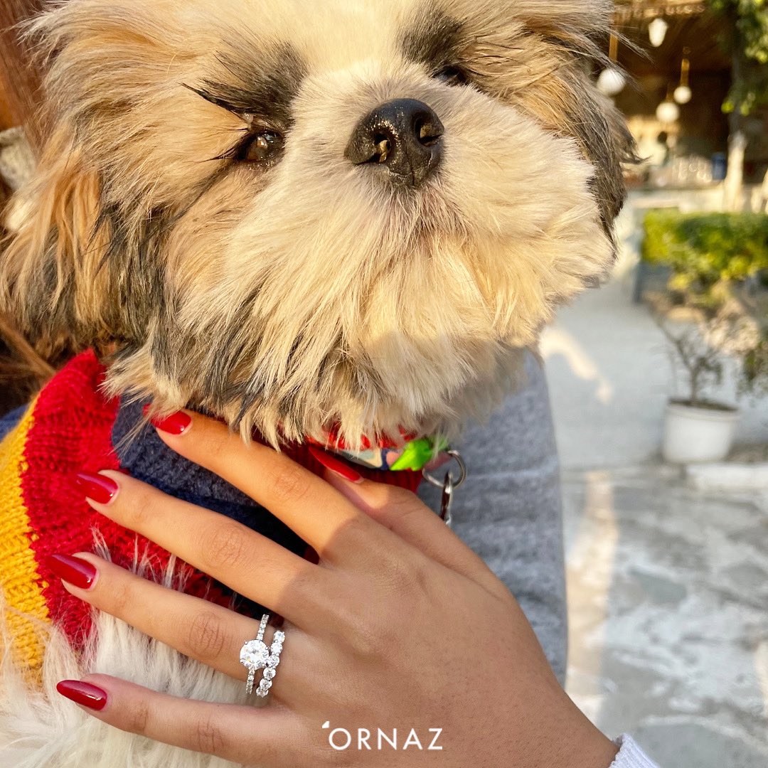 ORNAZ tweet media