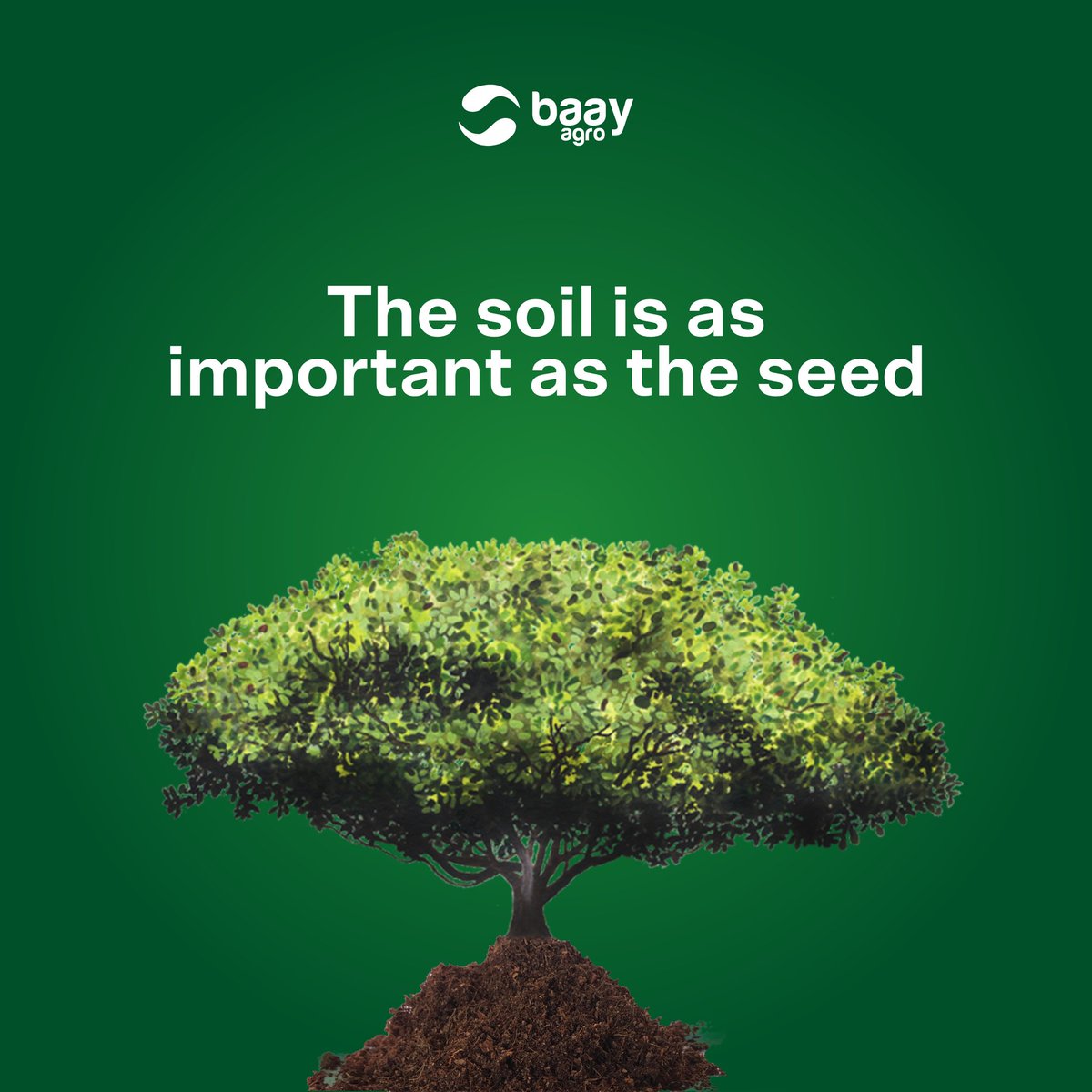 baayagro's tweet photo. Did you know that soil quality and climate can affect the quality of cashew plantations? Soil suitability is equally as important as the seedling you plant to germinate quality farm produce. 
#agriculture #cashew #farming #ZeroHunger #SDGs #baayagro #agri #FoodSecurity #female https://t.co/PO6YQx14hw
