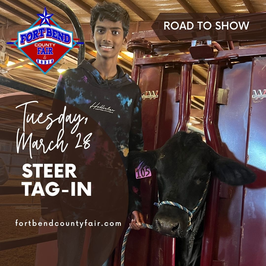 fbcfair's tweet image. Bring on the steers! From 5pm to 7pm is steer tag in! #loadup #steers #4h #ffa #unstoppable