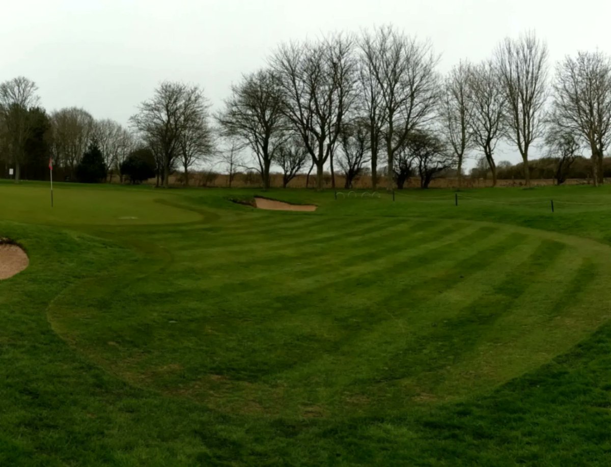 hornseagolfclub's tweet photo. @ryan_oliver1 out implementing the start of his Approach plan for the upcoming season
Out with the homemade brush and new @ToroGolf 1600 creating a little stripe show
Apparently he thinks it's Spring too....#shortsweather
@hgc_greens https://t.co/Wkc08Ug5xY