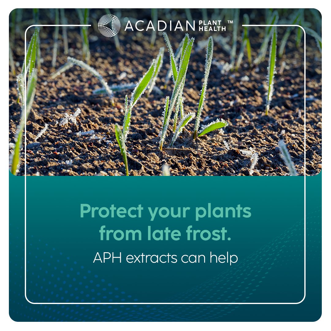 It's the first day of #spring in the northern hemisphere, but late frost can damage delicate seedlings and blooms. APH extracts help give plants a better chance of survival in unexpected cold temperatures. Learn more: bit.ly/3miMTxL #farming #sustainable #bloom23
