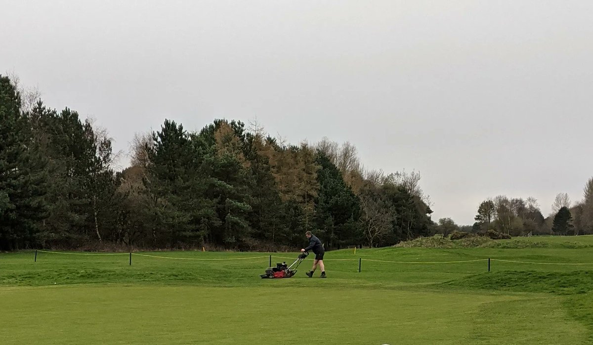 hornseagolfclub's tweet photo. @ryan_oliver1 out implementing the start of his Approach plan for the upcoming season
Out with the homemade brush and new @ToroGolf 1600 creating a little stripe show
Apparently he thinks it's Spring too....#shortsweather
@hgc_greens https://t.co/Wkc08Ug5xY