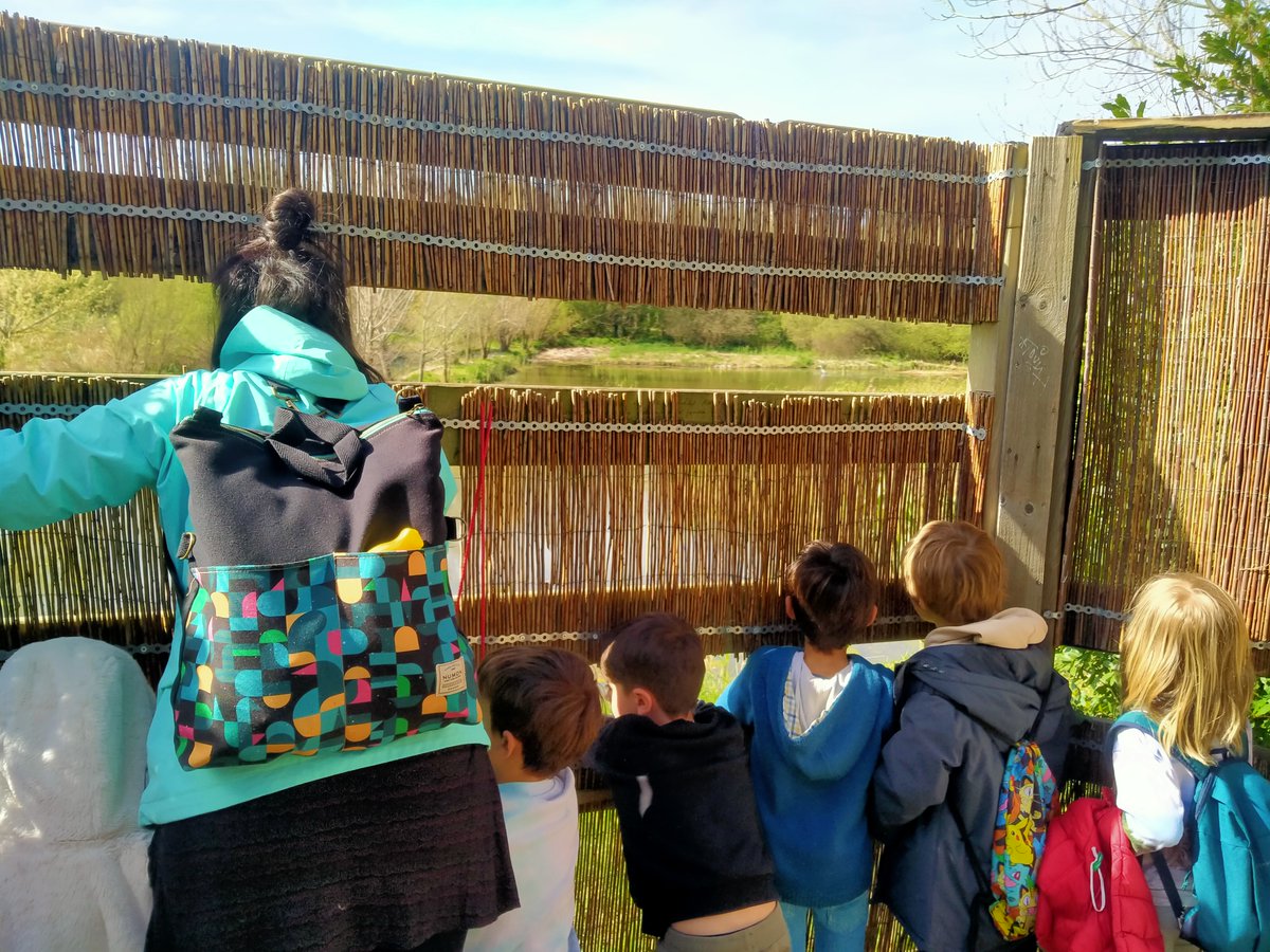 IngurumenAretoa's tweet photo. No es necesario irse muy lejos para gozar de una variadísima biodiversidad...
Hoy en #bolue el alumnado de 2º de Primaria de #AndraMari ha visto un montón de especies: la #Garzareal , la #FOCHA , la #polladeagua , tortugas, crías de ánade real...
¡Hasta la próxima!
#getxo https://t.co/anvEgpnTDB