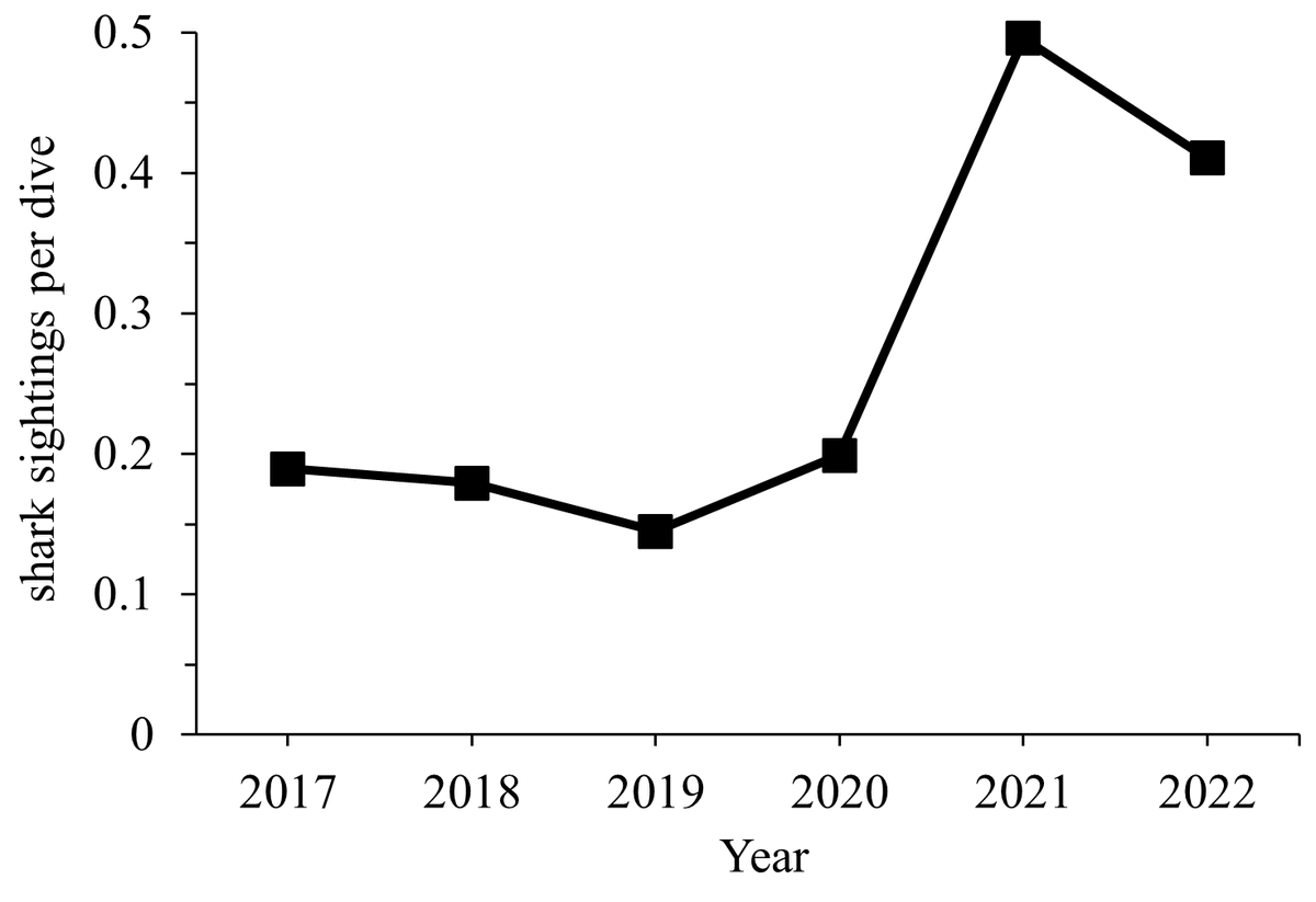 doecayman's tweet photo. The mean number of shark sightings per dive was fairly stable from 2017 to 2020 and increased considerably in 2021. Learn more at https://t.co/wQKgBwQtiR
#CaymanConservation #CaymanSharks #SharkResearch #CaribbeanReefShark #CitizenScience #Volunteering #ProtectWhatYouLove https://t.co/FhOrUjtDvk