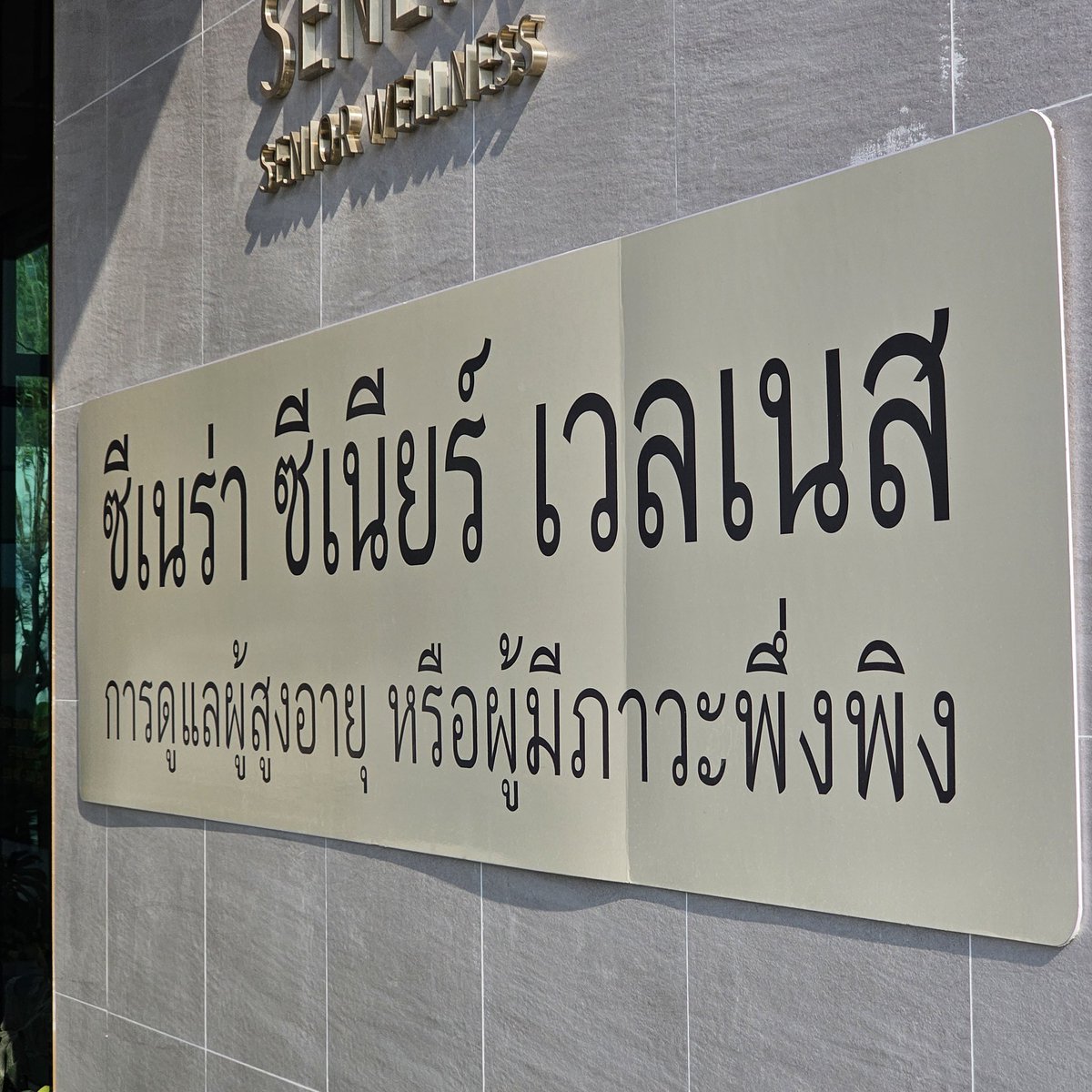 papayatop's tweet photo. วันนี้ไปดูโครงการ Senera Senior Wellness ศูนย์ดูแลผู้สูงวัย ยูนิตพักอาศัย ส่วนกลาง คลาสด้านสุขภาพ - สันทนาการครบวงจร 

ใครมีผู้สูงวัยในบ้าน ไม่มีเวลาดูแล + มีกำลังจ่าย ผมมาแชร์ให้ฟังครับ 👇 https://t.co/tPNFuiX1F1