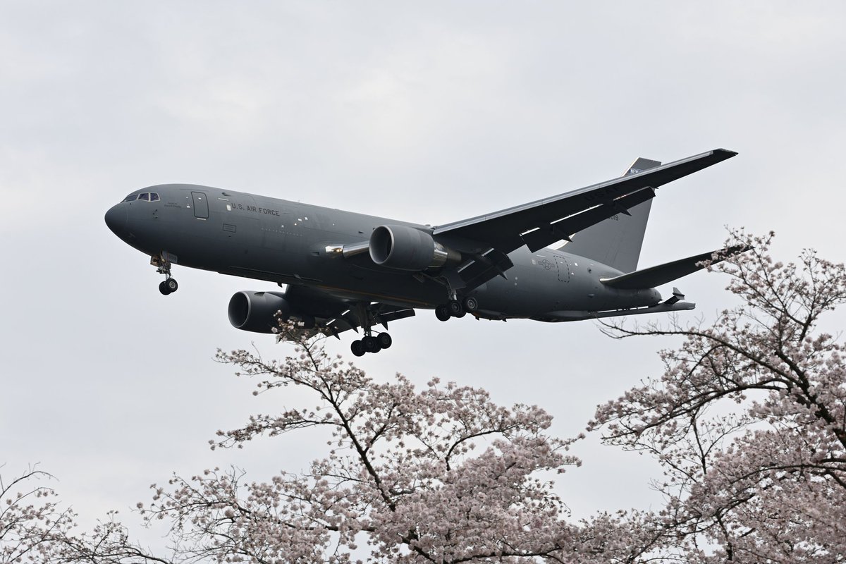 modelight329's tweet image. 2023/03/28
仕事が休みで久しぶりに横田へ☺️
タンカー桜祭りとF-35B😋
イイ収穫でした😀

#RJTY ＃横田基地