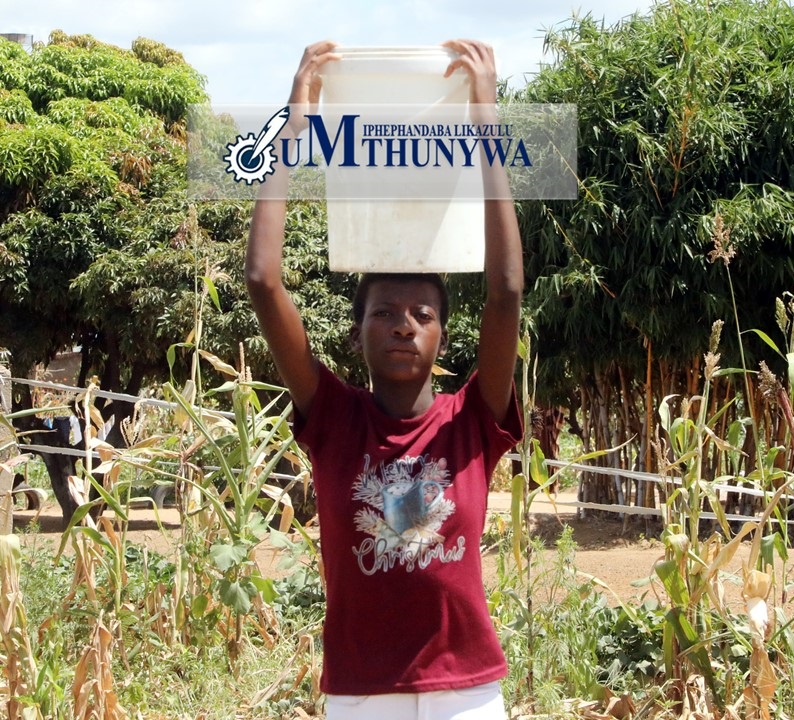 Umthunywa Zimpapers Official tweet media