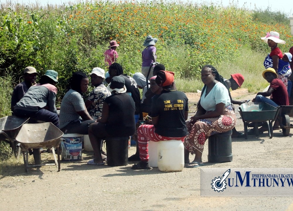 Umthunywa Zimpapers Official tweet media