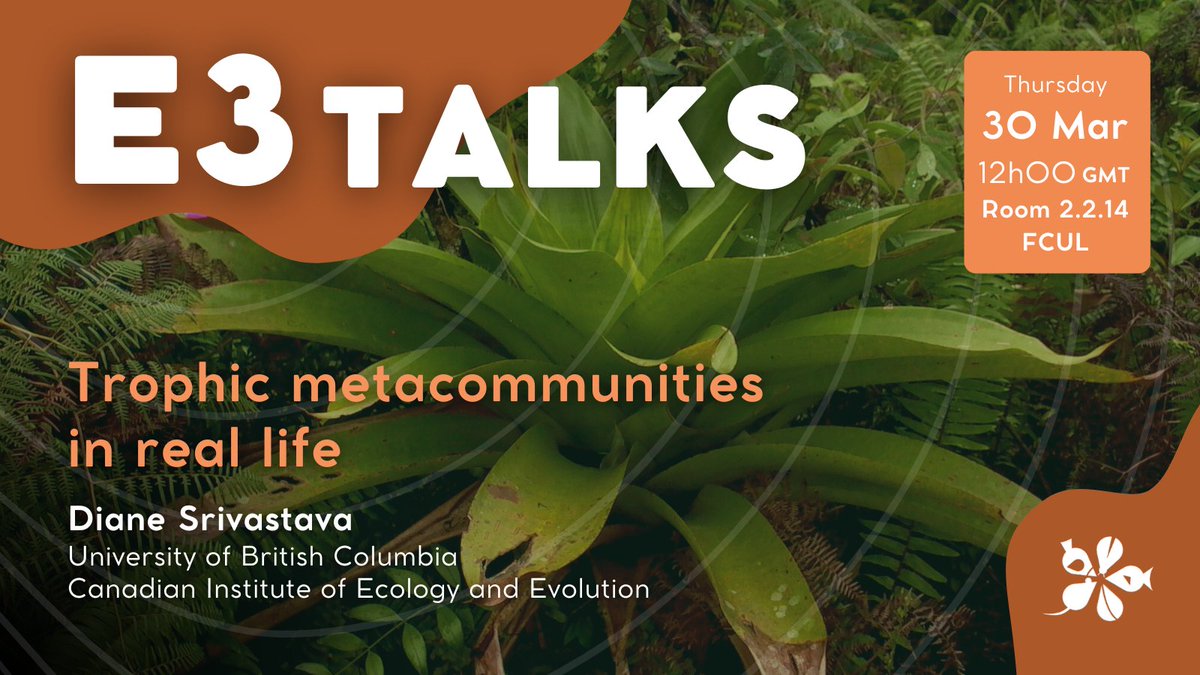 CE3CResearch's tweet photo. In the next #E3Talk, Diana Srivastava @srivastavalab (@ubc @CIEEICEE) will explore the trophic metacommunity theory by looking at aquatic invertebrate food webs in tropical bromeliads 🫧🕸 Join us!
+ info: https://t.co/nMe1grPhNt
#cE3c #ce3cresearch #tropicalecology https://t.co/CQIZdXt7Bn