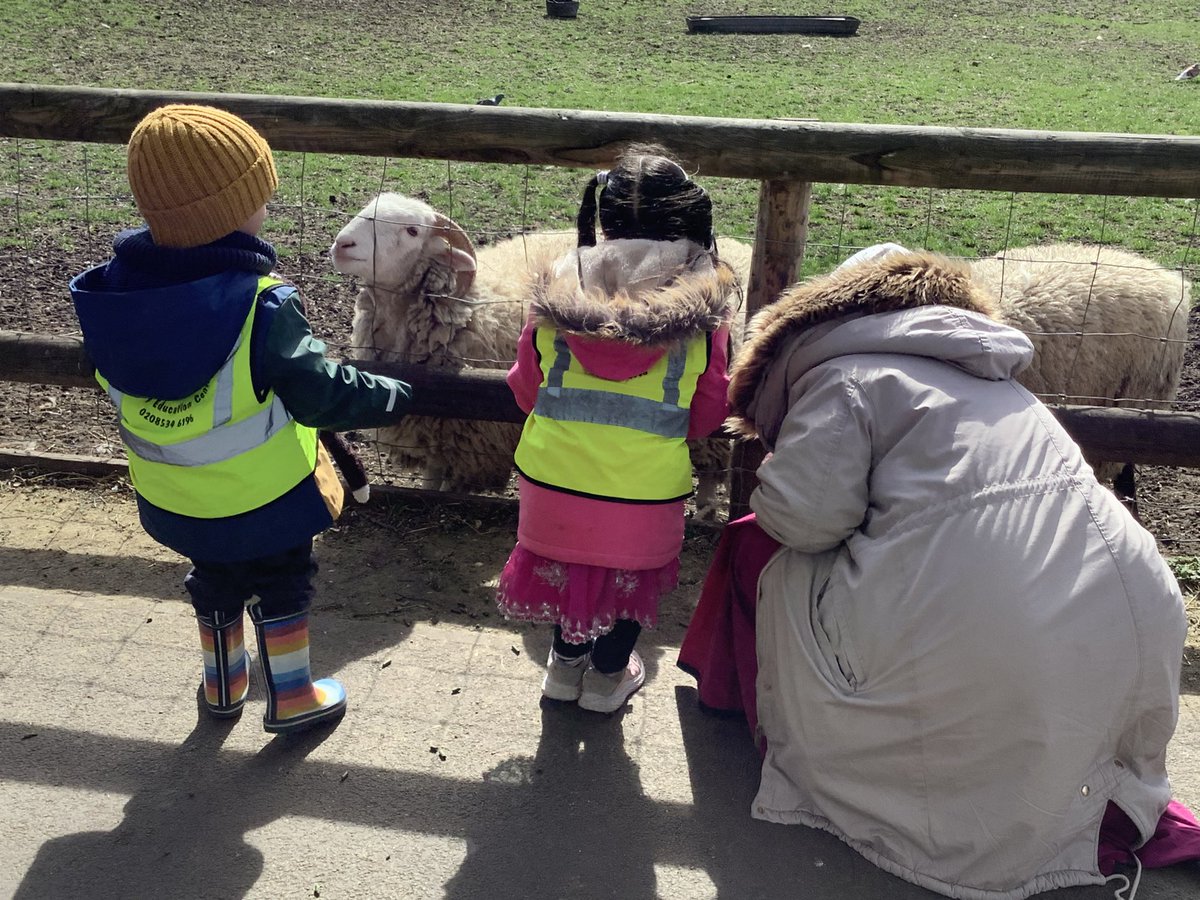 Ronald Openshaw #RONEC tweet media