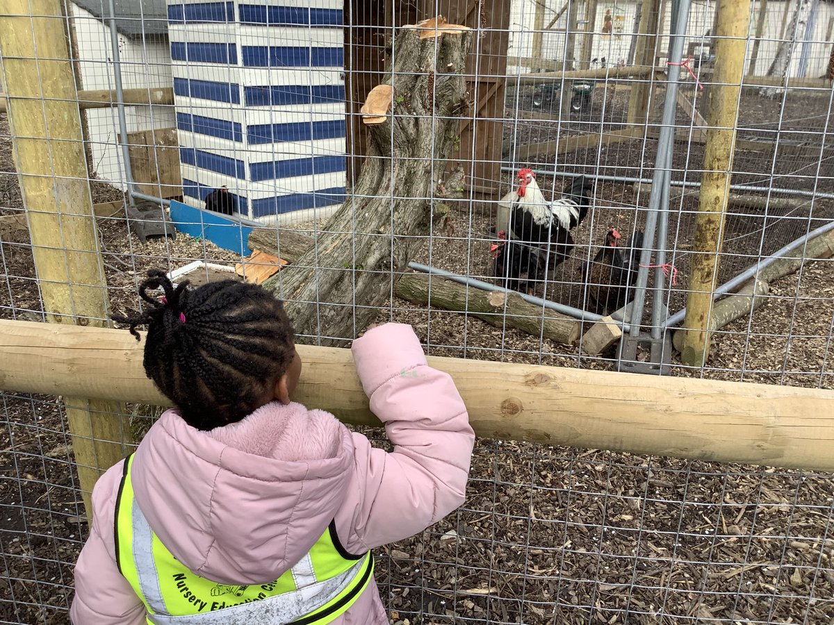 Ronald Openshaw #RONEC tweet media