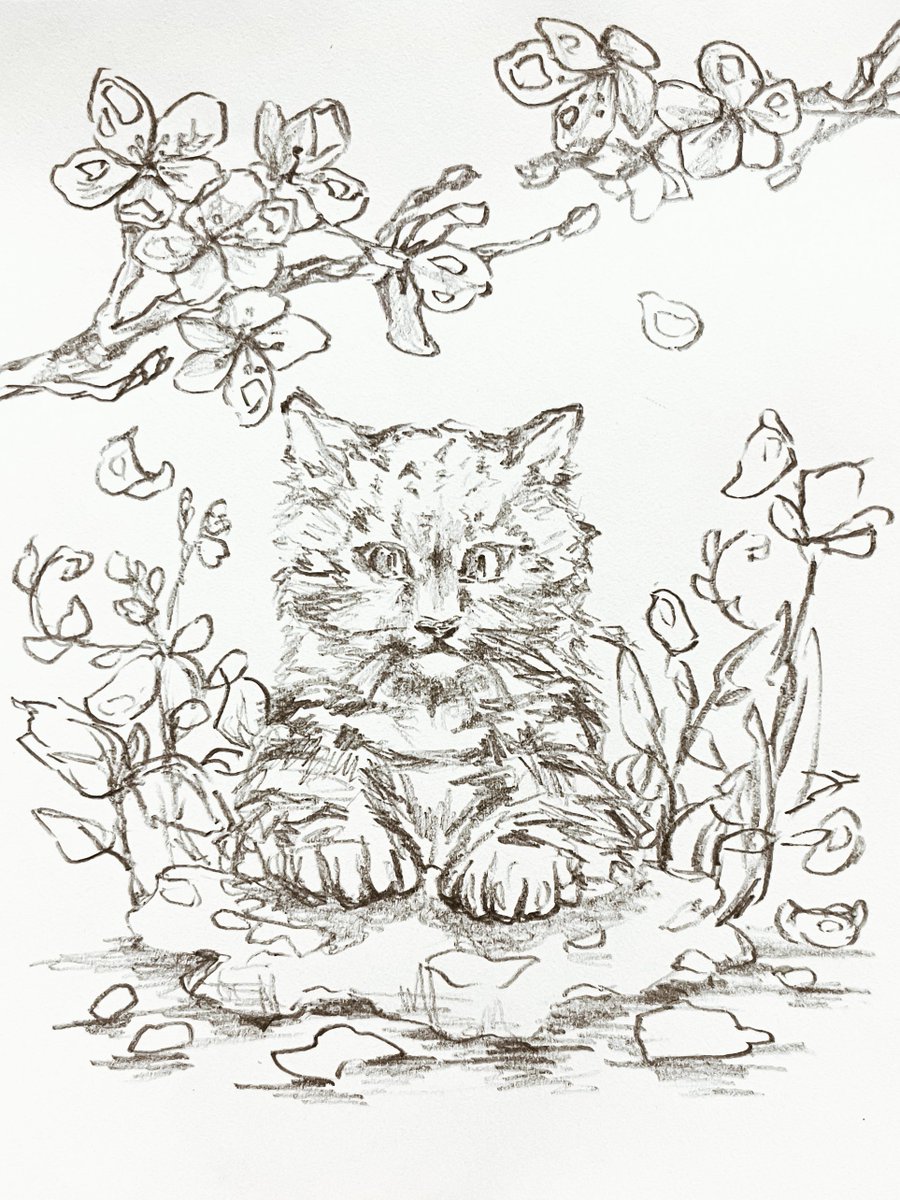 rkgkユキヒョウちゃん
お花見したいね。 