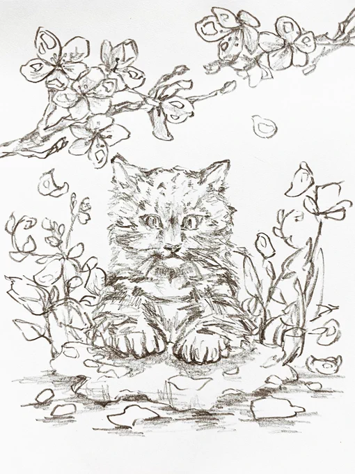 rkgkユキヒョウちゃん
お花見したいね。 