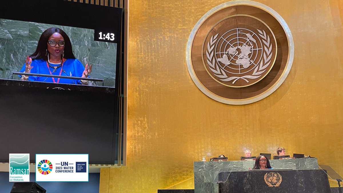 🗣️ SG, @MumbaMusondam stressed the importance of #wetlands to the world's water systems during last weeks #UN2023WaterConference stating “we cannot address our water and sustainable development needs without wetlands.'

Read more: bit.ly/3LSwUBj

#GenerationRestoration