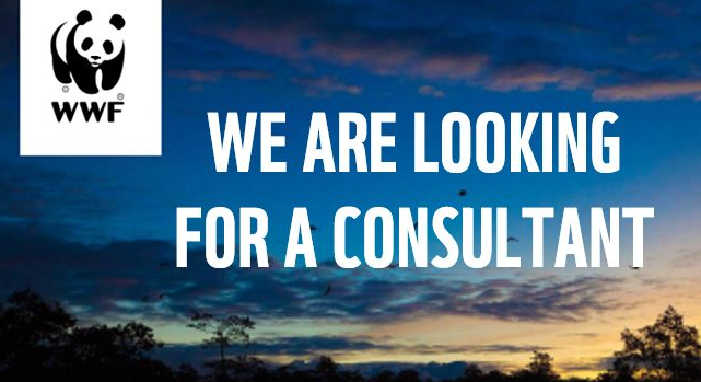 WWFRiskFilter's tweet photo. 📢We are looking for a consultant/freelancer

Great opportunity for a consultant with geospatial analysis and programming skills to support our @WWF Risk Filter team's work on water &amp; biodiversity risk assessments for agricultural commodities.

https://t.co/ZwgSGV4ny2 https://t.co/6fmW2evzZm