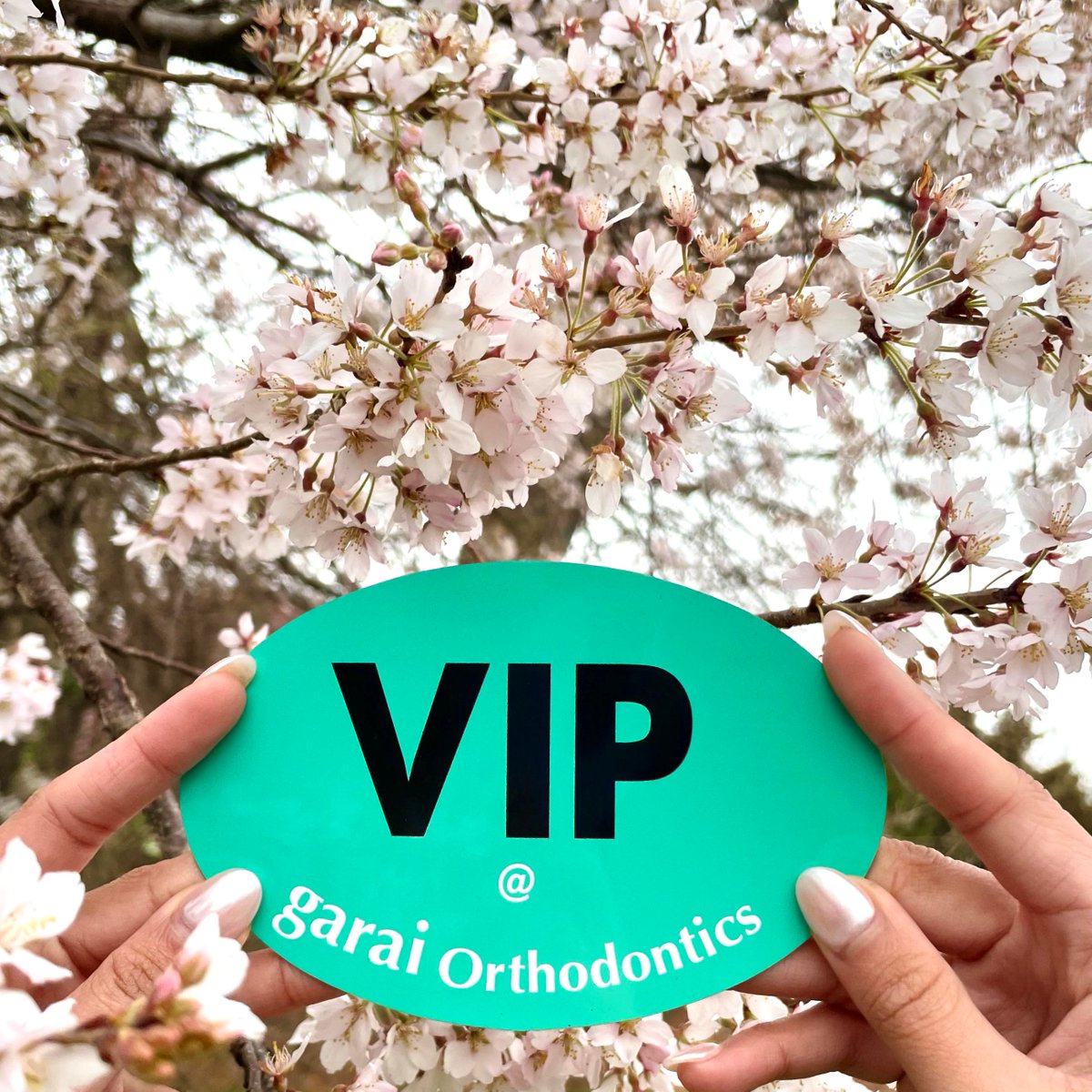 Start off the spring season with a FREE consultation for a brand new smile! 

#spirngishere #ortho #fyp #free #braces #invisalign #cherryblossoms #vip #dmvarea #vienna #greatfalls #smile #teeth #happy